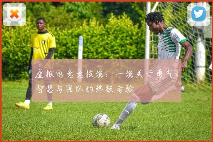 虚拟电竞竞技场，一场关于勇气、智慧与团队的终极考验