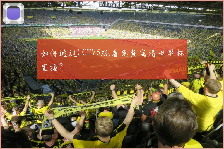 如何通过CCTV5观看免费高清世界杯直播？
