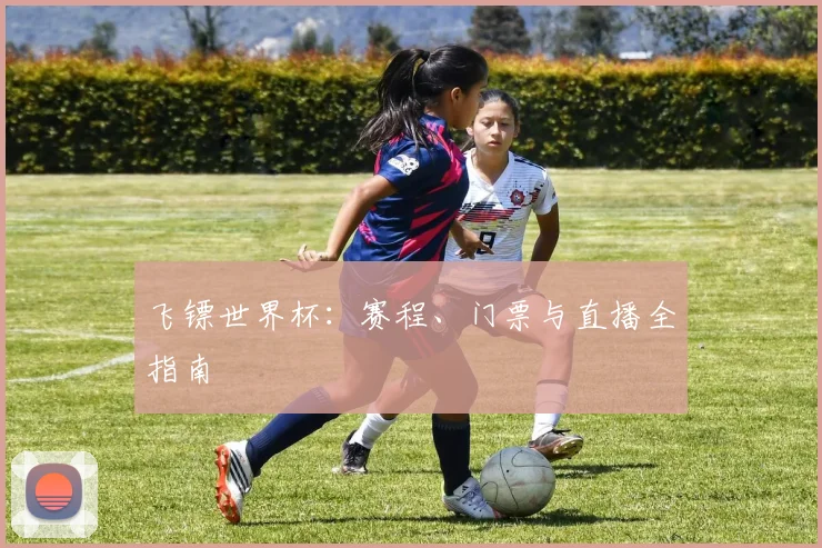 飞镖世界杯：赛程、门票与直播全指南